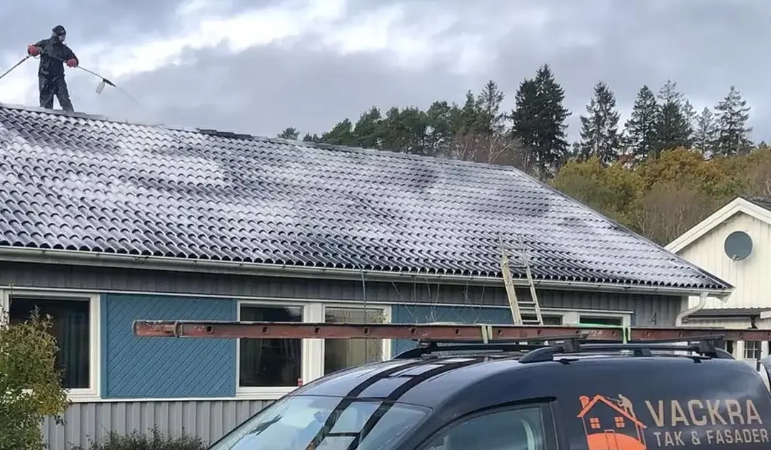 Hur vet jag om mitt tak behöver anti-alg behandling?